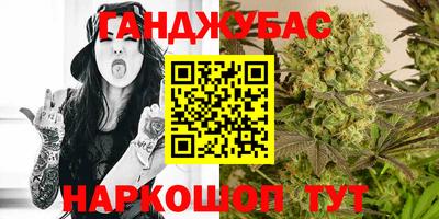 стаф Братск