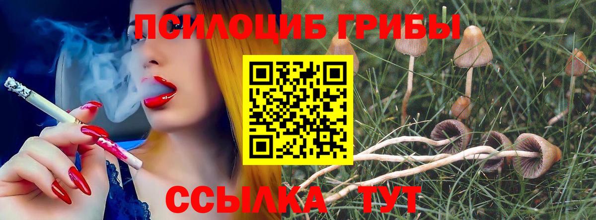 Галлюциногенные грибы MAGIC MUSHROOMS  Псилоцибиновые грибы MAGIC MUSHROOMS  Вход с VPN  Ростов-на-Дону 